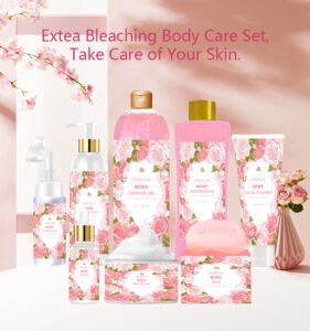 natural oily skin care set