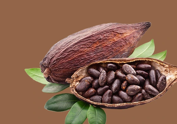 cocoa butter body wash