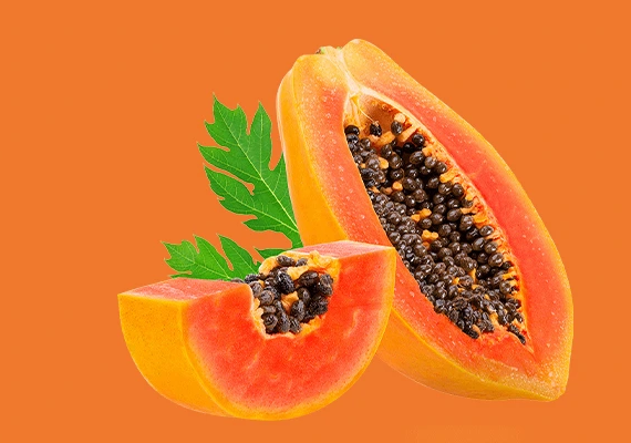 papaya extract